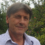 Dobrovoje Doksa Nikolić 
